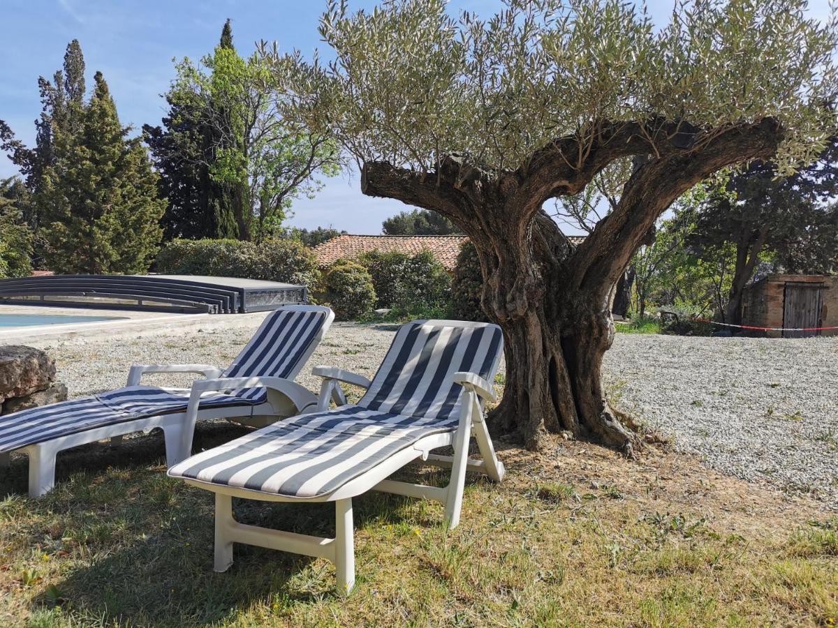 Azillanet La Pinede 아파트 외부 사진