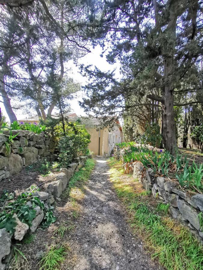 Azillanet La Pinede 아파트 외부 사진